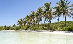 錫安卡恩生物保護區 錫安卡恩生物保護區
