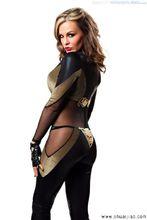 維綸特&middot;斯蓋