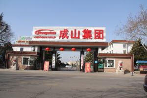 成山集團 成山集團