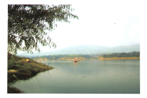 秋樹李村 秋樹李村