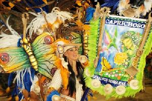 （圖）巴西狂歡節