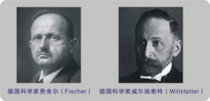 費舍爾與威爾斯泰特