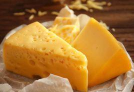 cheese[牛奶製品]