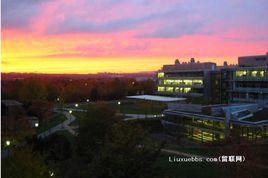 美因茲大學 美因茲大學