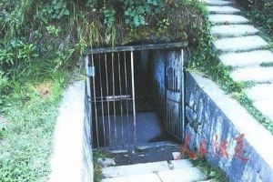 虎頭濕地 虎頭濕地