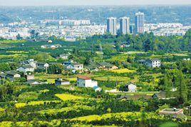 鶴山街道 鶴山街道