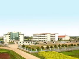 塔石國中 塔石國中