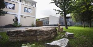 鹿鳴動物遊樂園 鹿鳴動物遊樂園