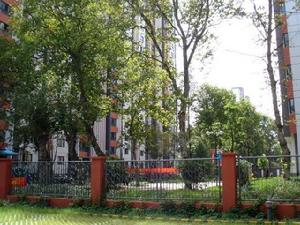 青揚十街 青揚十街