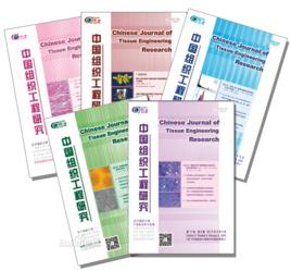 外周血幹細胞移植