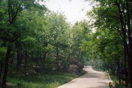 李家村[山東省青島市黃島區靈山衛街道辦事處李家村]