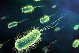 致病性微生物污染