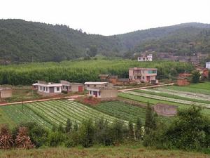 花箐行政村概況