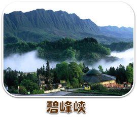 碧峰峽野生動物園 碧峰峽野生動物園