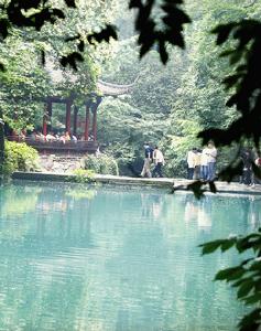 冷泉猿嘯 冷泉猿嘯