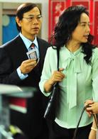 幸福來敲門[2010年由蔣雯麗、孫淳主演的電視劇]