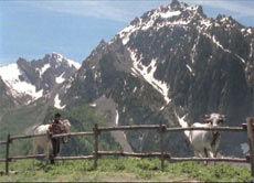 疑雲[義大利電視劇]