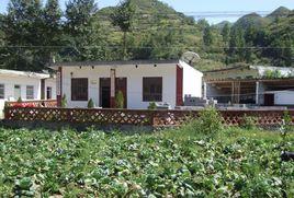 金竹村[雲南省彝良縣小草壩鄉金竹村]