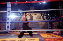 《中國散打王中王》總決賽表演嘉賓