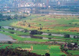 深圳河套地區 深圳河套地區