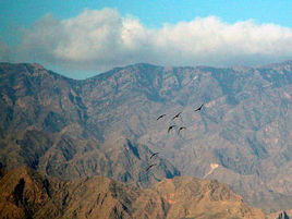賀蘭山森林公園 賀蘭山森林公園