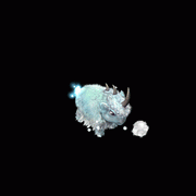 超級白澤 超級白澤