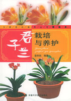 君子蘭栽培與養護 君子蘭栽培與養護