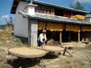 老乾場自然村 老乾場自然村