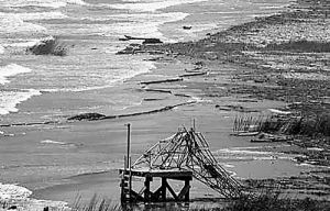 海洋荒漠化效應 海洋荒漠化效應