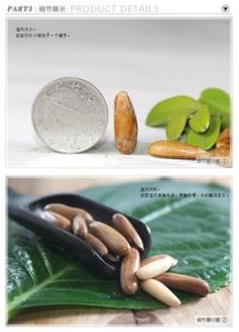 巴西松子 巴西松子