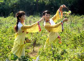 河南民歌 河南民歌