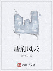 唐府風雲 唐府風雲