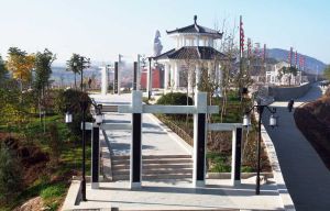 饅頭山生態園 饅頭山生態園