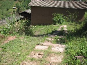 梨樹坡村 梨樹坡村