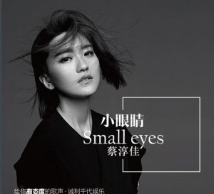 小眼睛[蔡淳佳演唱歌曲]