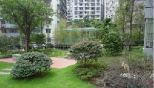 綠苑新村 綠苑新村