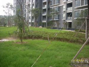 陽光水韻 陽光水韻