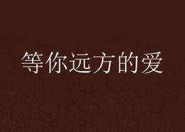 等你遠方的愛 等你遠方的愛