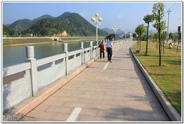 大埔梅河公園 大埔梅河公園