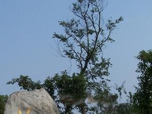 半島名城 半島名城