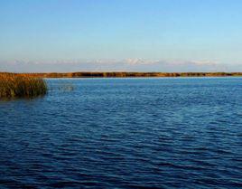 博斯騰湖[中國最大的內陸淡水吞吐湖]