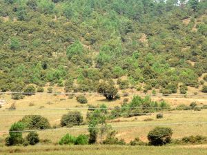 拖拉坪二村自然村 拖拉坪二村自然村