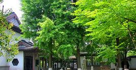 鄭和公園[南京鄭和公園]