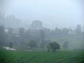 己衣小村 己衣小村