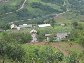 麥莊坡自然村 麥莊坡自然村