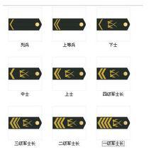 新士官軍銜圖