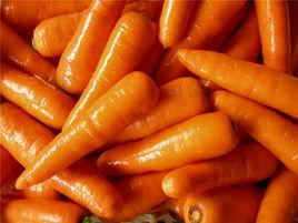 察右中旗紅蘿蔔 察右中旗紅蘿蔔