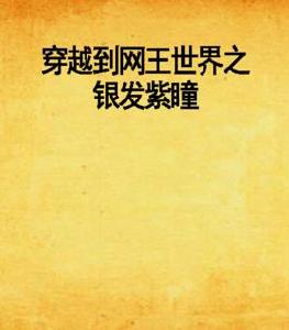 穿越到網王世界之銀髮紫瞳 穿越到網王世界之銀髮紫瞳