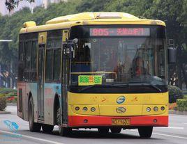 廈門公交805路 廈門公交805路