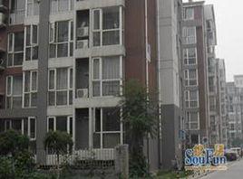 親親小鎮 親親小鎮